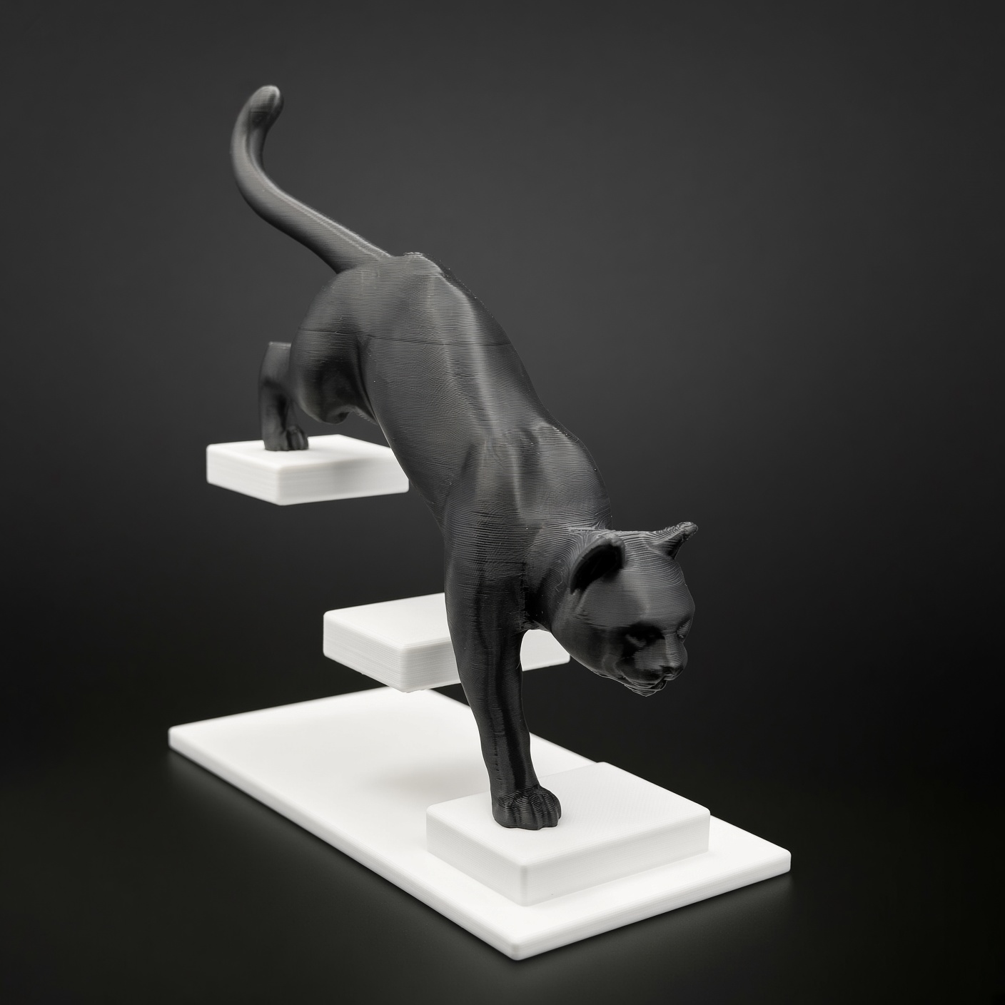 Estátua do gato levitando