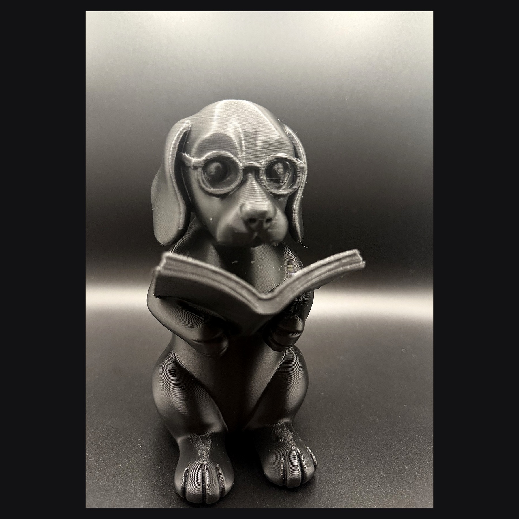 Cachorro lendo